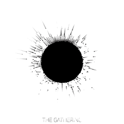 Black hole texture